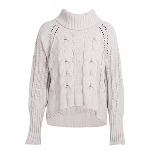 Turtleneck Knit Sweater